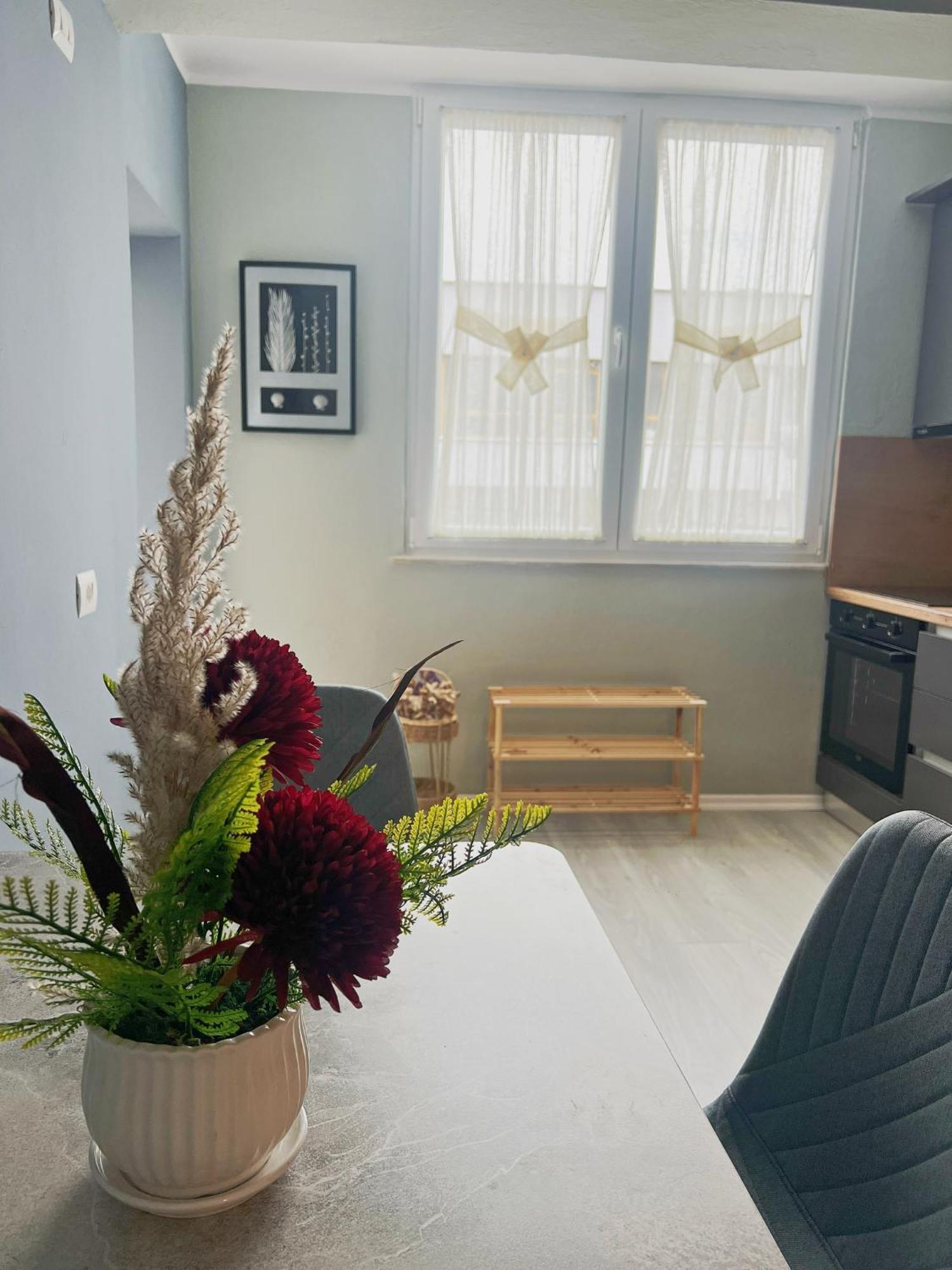 Joyful Apartment טיראנה מראה חיצוני תמונה