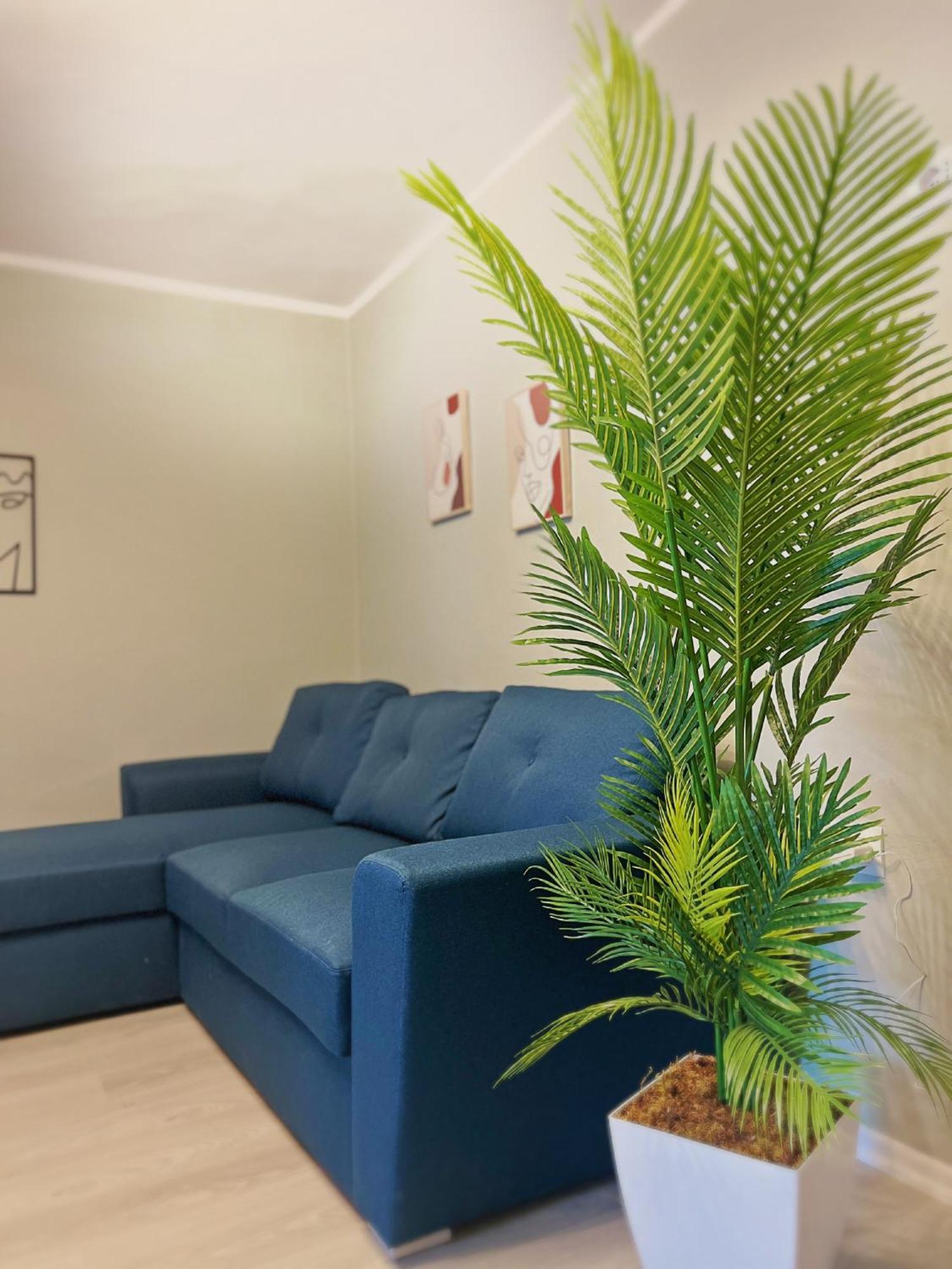 Joyful Apartment טיראנה מראה חיצוני תמונה